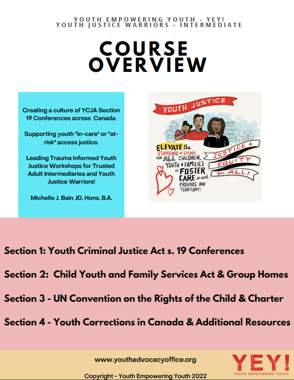 Course Preview Warriors of Youth Justice Intermediate