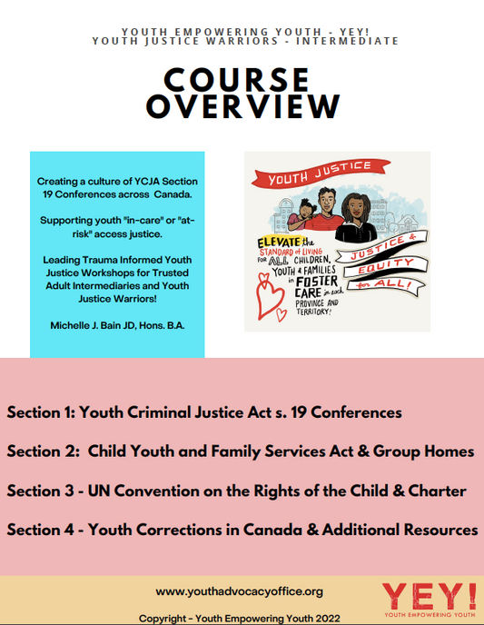 Course Preview Warriors of Youth Justice Intermediate