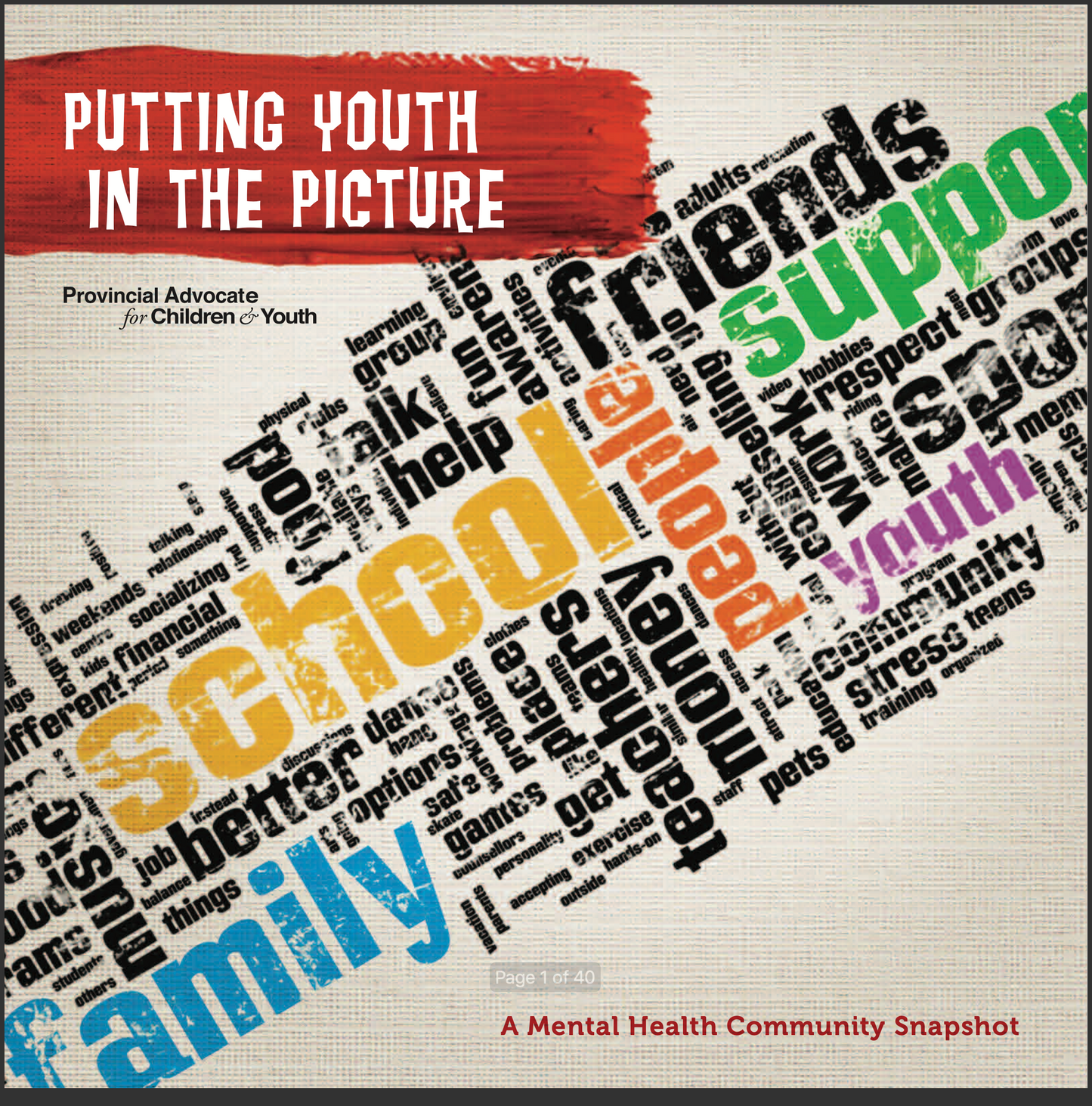 Putting Youth in the Picture - Mental Health Community Snapshot